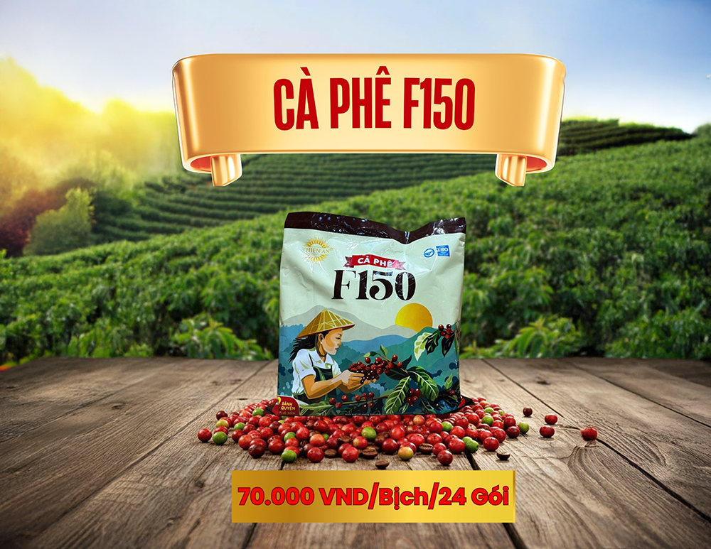 Cà phê F150 bịch 24 gói