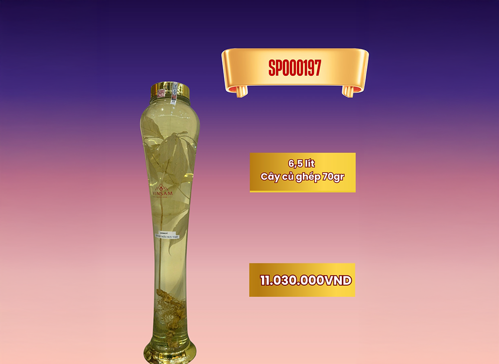Rượu sâm bình lớn SP000157
