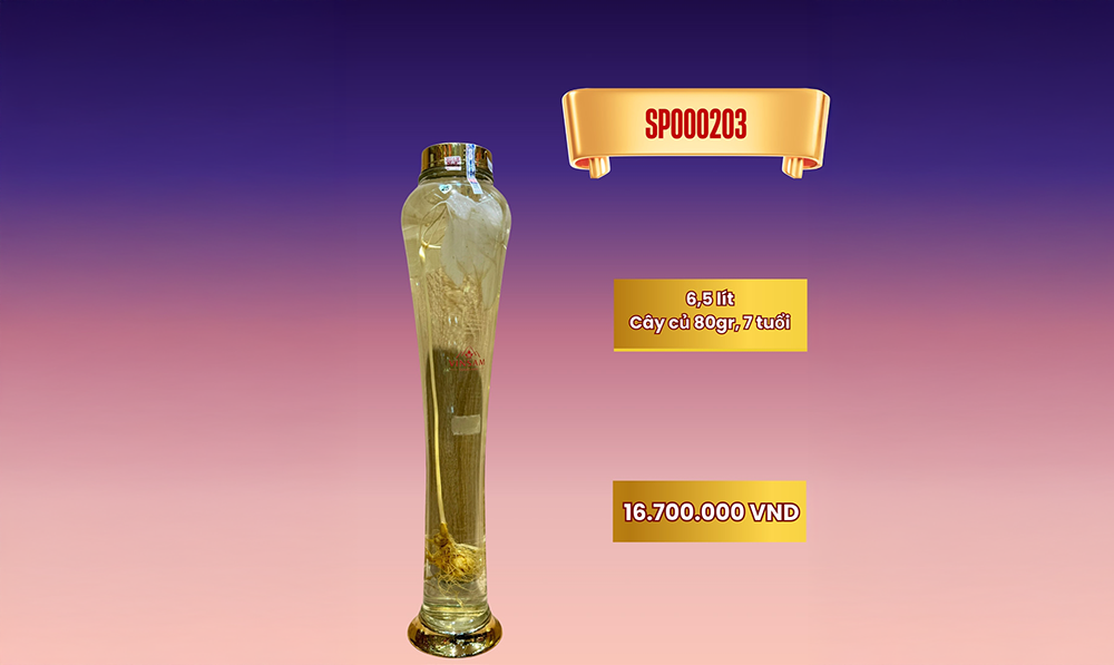 Rượu sâm bình lớn SP000220