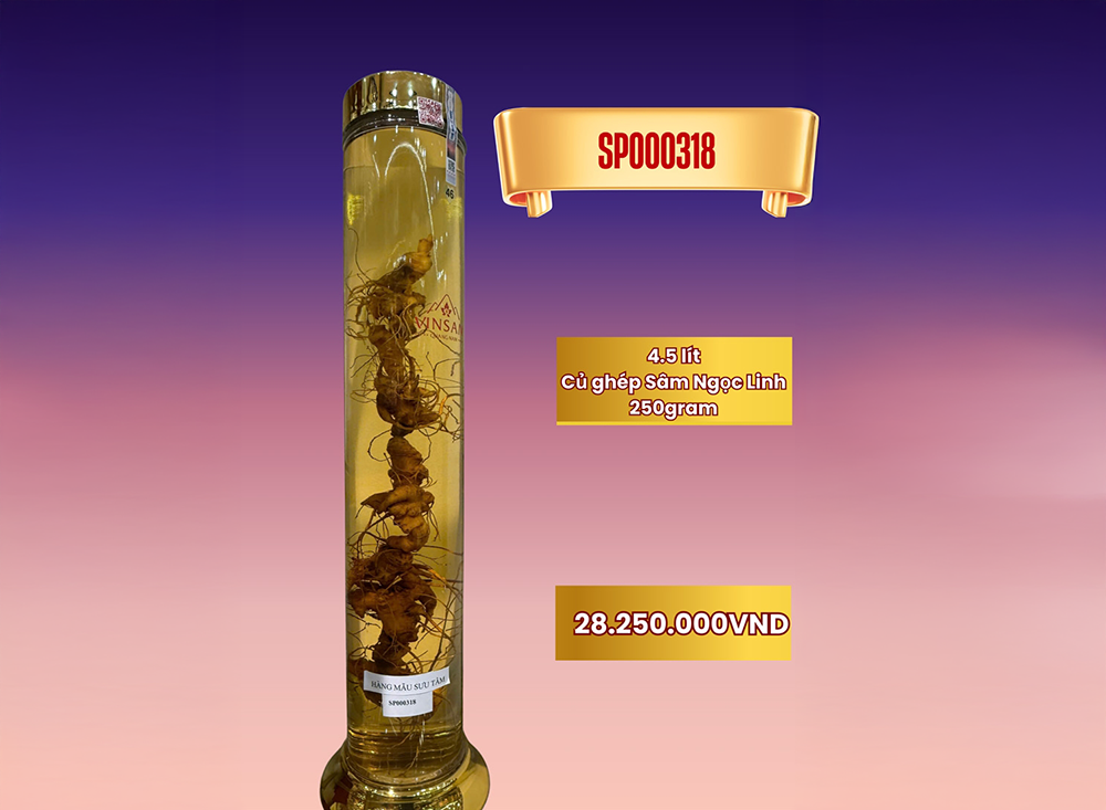 Rượu sâm bình lớn SP000318