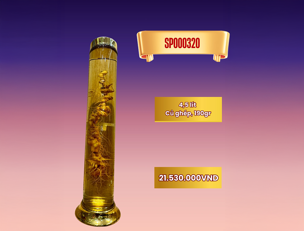 Rượu sâm bình lớn SP000320